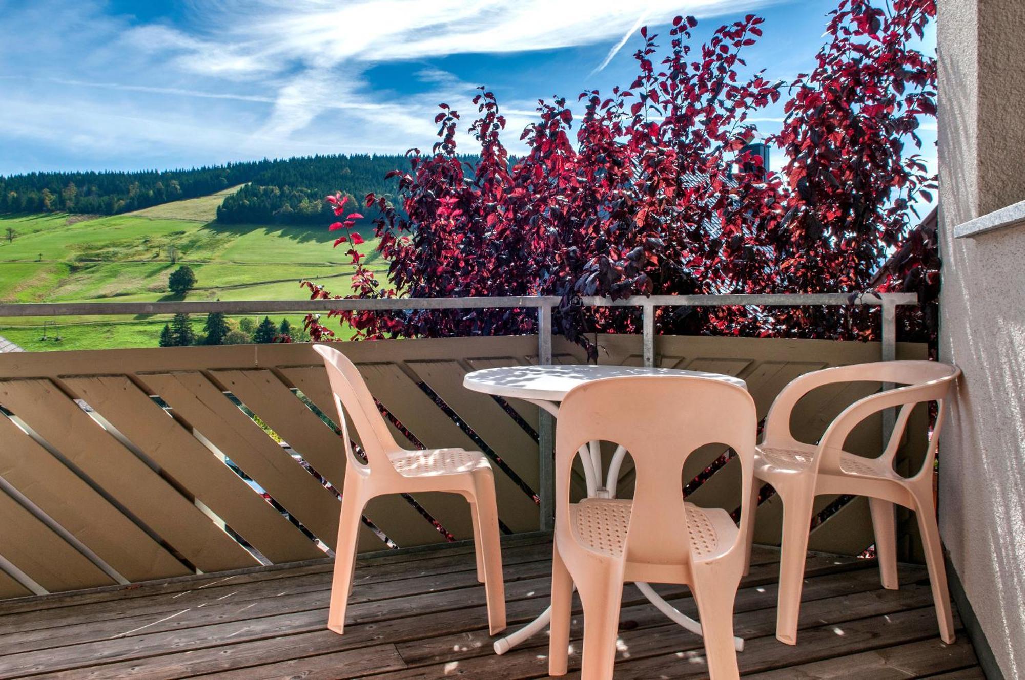 Apartment 03 - Ferienresidenz Roseneck, Mit Schwimmbad In Todtnauberg Bei Feldberg Екстериор снимка